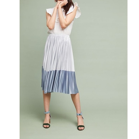 Anthropologie Dresses & Skirts - ANTHROPOLOGIE Cheri Pleated Skirt